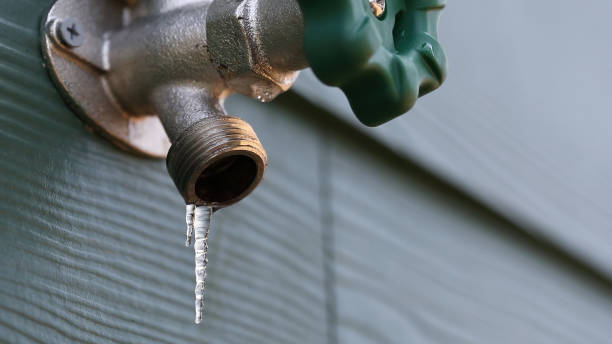 Septic Systems in Roanoke, AL