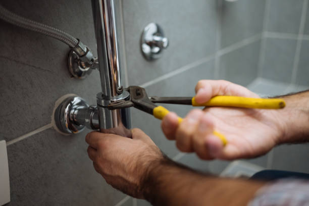 Best Affordable Plumber Near Me  in Roanoke, AL
