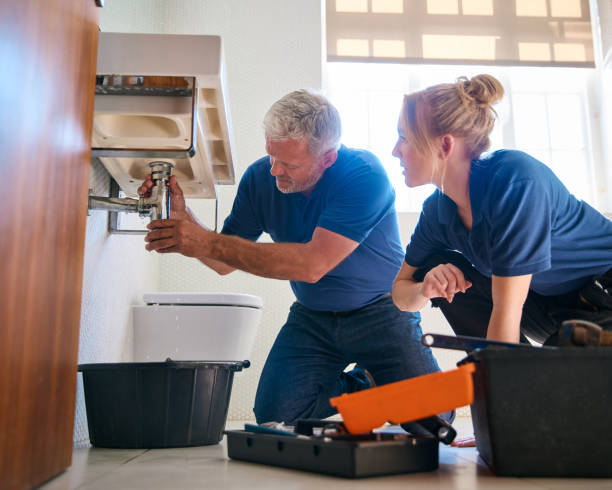 Best Water Leak Repair  in Roanoke, AL